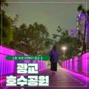 호수공원 관리센터 공중 화장실 | 광교호수공원 야경 산책 밤에 걷기 딱 좋은 힐링 코스