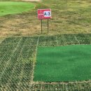 수목원파크 이미지