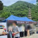 범어사 | 2026 범어사 부처님오신날 🍚점심공양 후기
