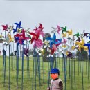 리틀올리브어린이집 | 남대문 및 인스타 아기옷 후기 3 (얼리틀,피넛포레스트, 씨스프레이등)