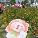 조치원_조치원읍 복합커뮤니티센터 | 2026년 세종 조치원 복숭아축제 방문 후기, 복숭아 가격 주차 꿀팁