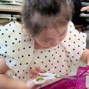 삼가초등학교(병설) 이미지