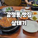 삼태기 이미지