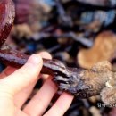 노내골농장 이미지