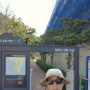 안남공원 Daum카페