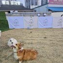 하울리데이 이미지