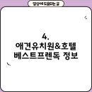 베스트프렌 독 이미지