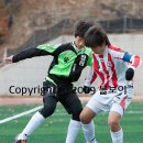 대전정림초등학교 이미지