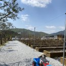 참숯생고기 이미지