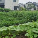 연담마을 이미지