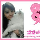 사평대로55길 98-12 이미지