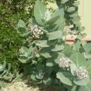 산책하우스 민박 이미지