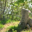 김천수산시장 이미지