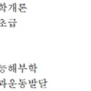 포커스 복싱짐 이미지