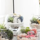 비오스샵 이미지