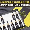 [꿀피부 특급작전]꿀광채 앰플10병에 2만원대에 무료배송으로 챙기세요~! 이미지