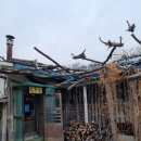 토속콩사랑 | 파주 썰매장 추천 눈내리는 초리골 법원읍 맛집 콩사랑