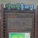 우면산5-9 이미지