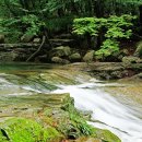 곡성-183 이미지