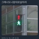캔디글로우