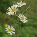 산들농원 이미지