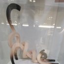 젠동물병원 이미지