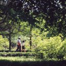 오라관광(주) 제주그랜드호텔 이미지