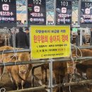 예천한우 이미지