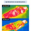 한스쿨 | 한스갤러리 듀라론 여름 침대 냉감 패드로 쾌적한 여름밤 보내세요!