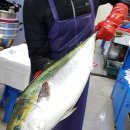 일미횟집 이미지