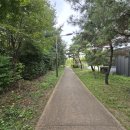 붓내공원 이미지