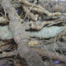 대박1농장 이미지