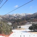 웰리힐리파크 이미지