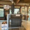 흥부바지걸쳐입고 이미지