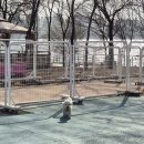 지에스(GS)25 다산도서관 이미지