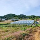 녹동농장 이미지