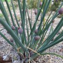 석문농장 이미지