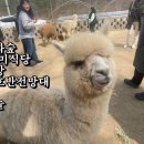 나드리다방 이미지
