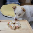 앙글몽글 이미지