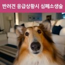 선화로8길 이미지