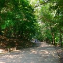 불갑사관광지 주차장 이미지