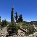 04-04-2026 Bighorn Peak Via Bighorn Peak Trail 이미지