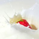 토지금고시장 이미지