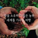 우프 이미지