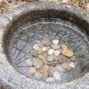 봄을담다 이미지