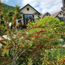 무주펜션선앤문 이미지