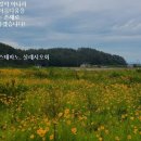 스테파노의 보물들
