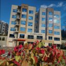 그레이스 힐링 | 처인구 요양원 찾는다면 그레이스힐링케어 아침을 기다리는 따뜻한 곳