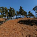 대림쏠라태양광발전소 이미지