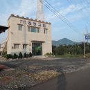 약수정주유소 이미지